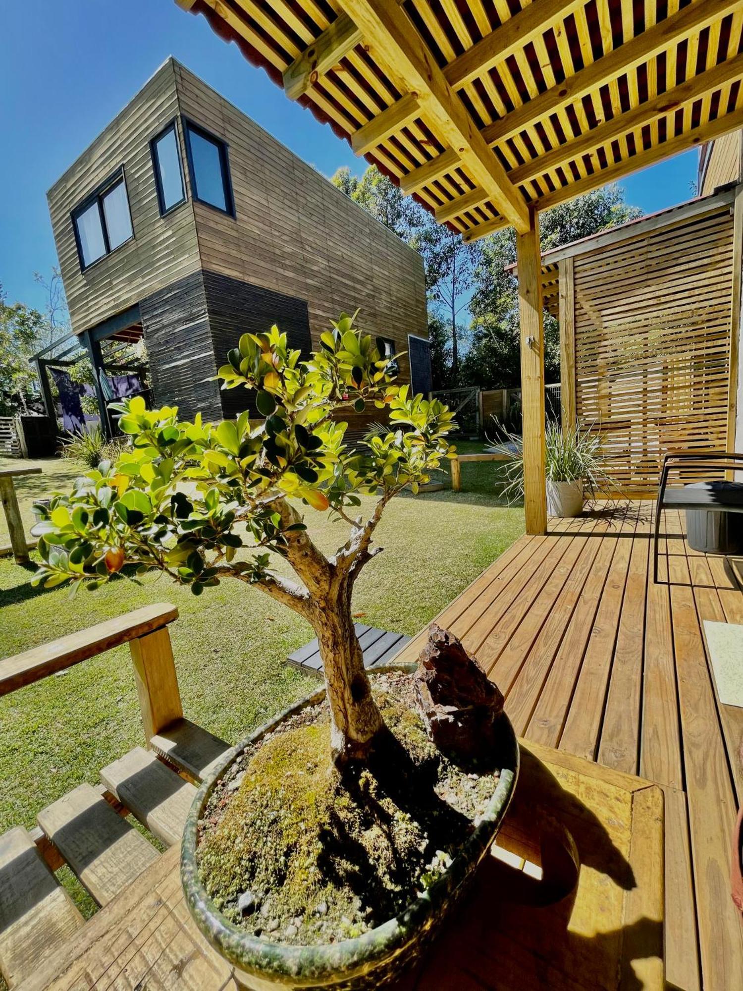 Rosa Lodge Lofts Praia do Rosa Eksteriør bilde